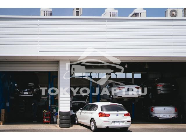 Image 8