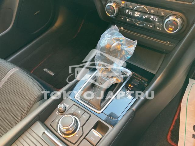 Image 6