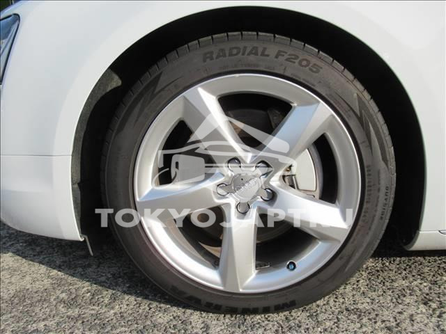 Image 13