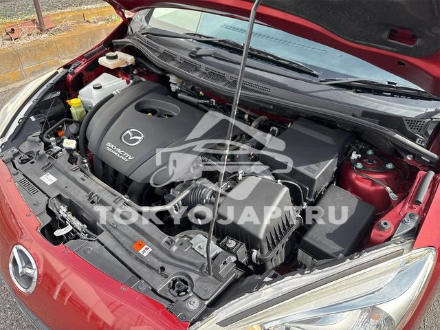 Image 7