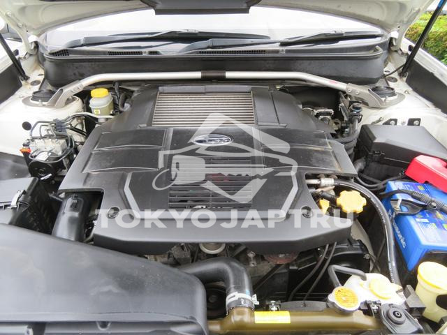 Image 8