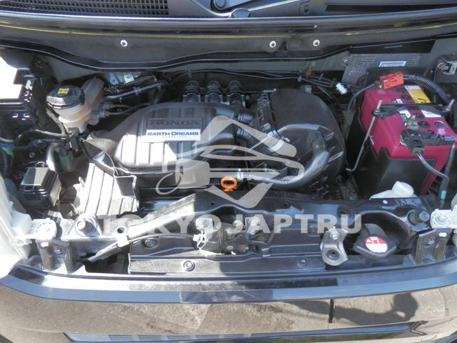 Image 7