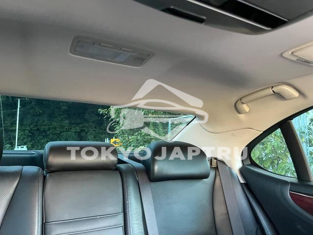 Image 19