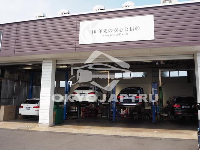 Image 5