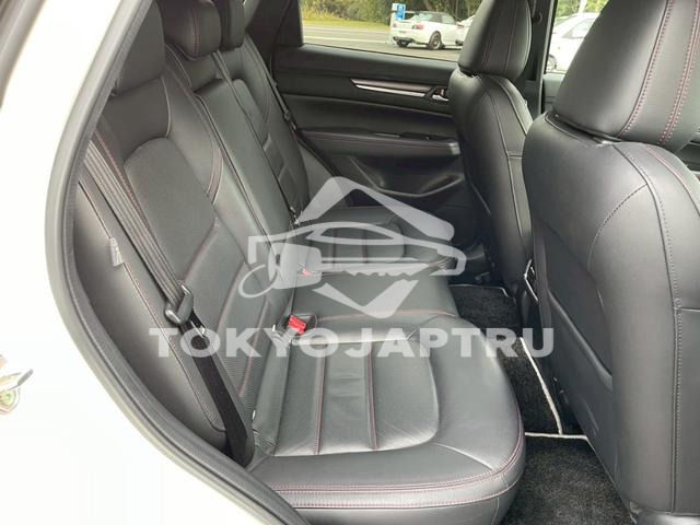 Image 11