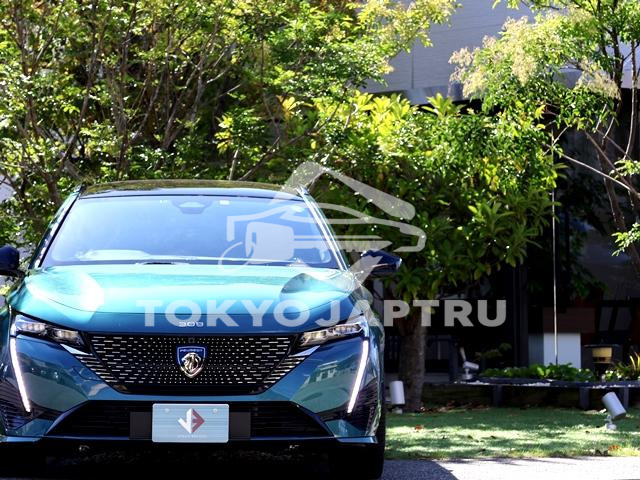 Image 7