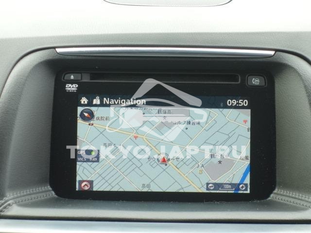 Image 11