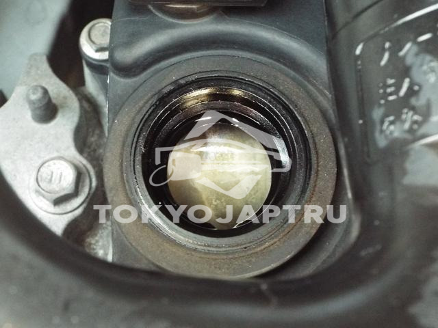Image 7