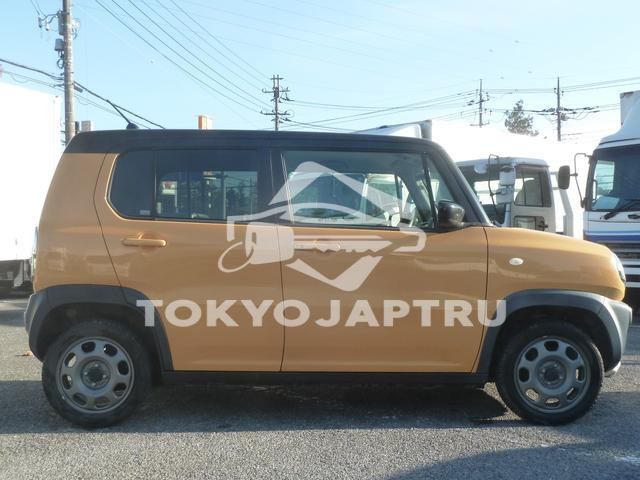 Image 5