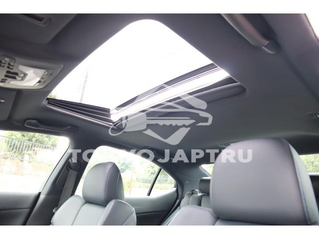 Image 10