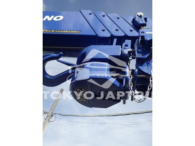 Image 7