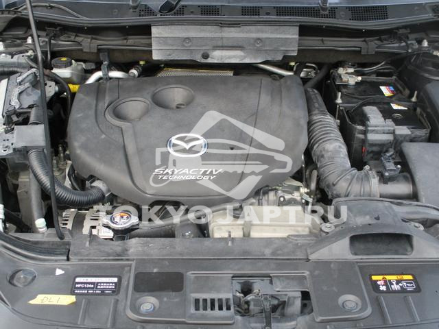 Image 7