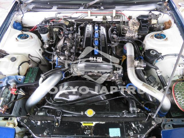 Image 7