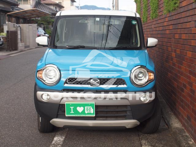 Image 4