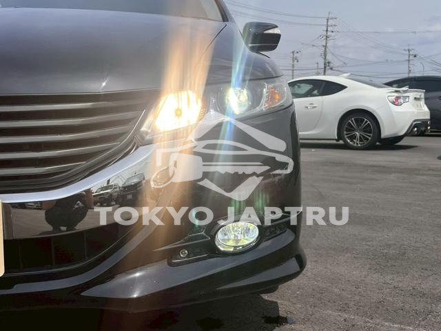 Image 16