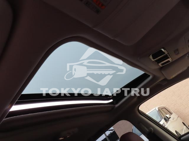 Image 10