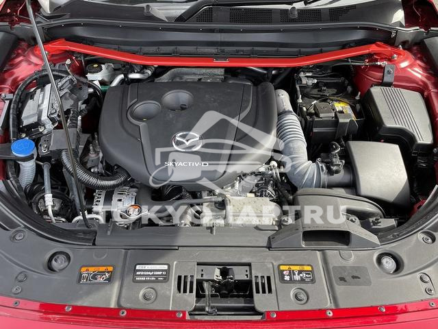 Image 8