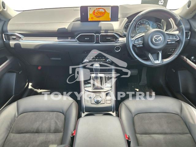 Image 5