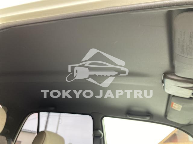 Image 12