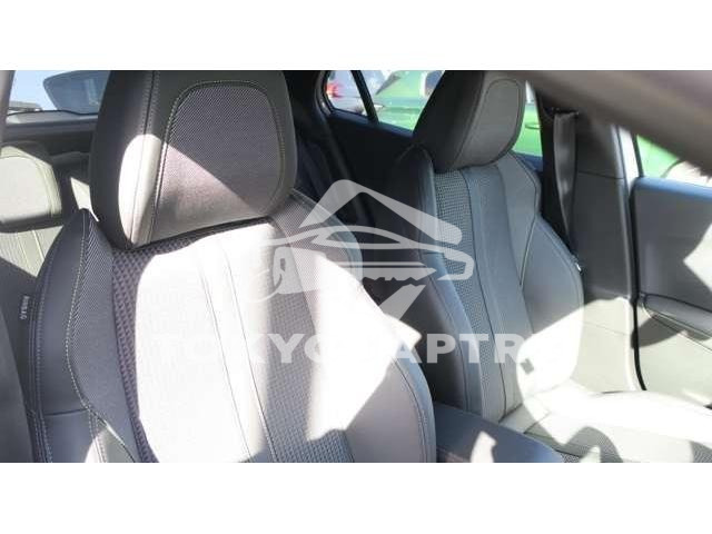 Image 11