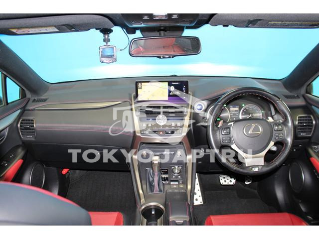 Image 7