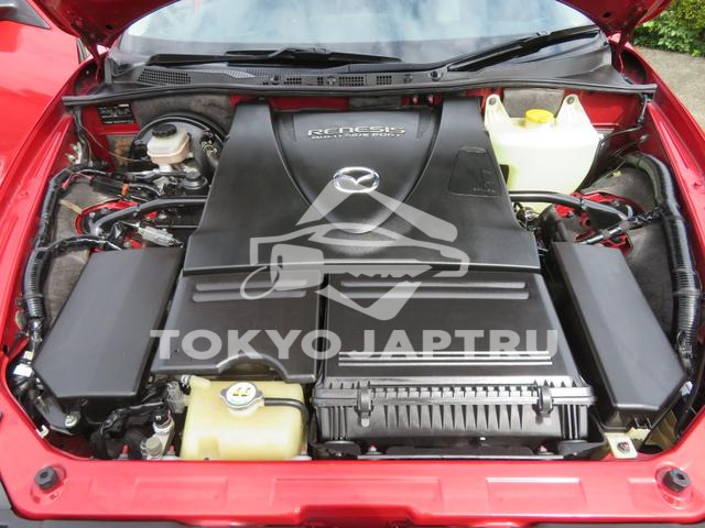 Image 9