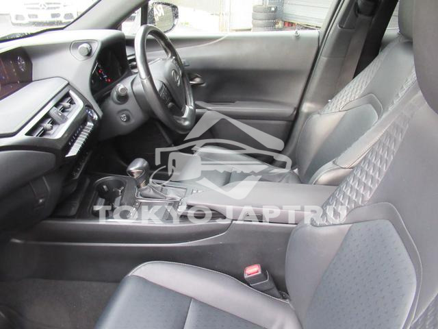 Image 11
