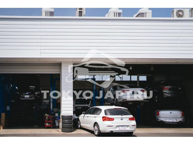 Image 8