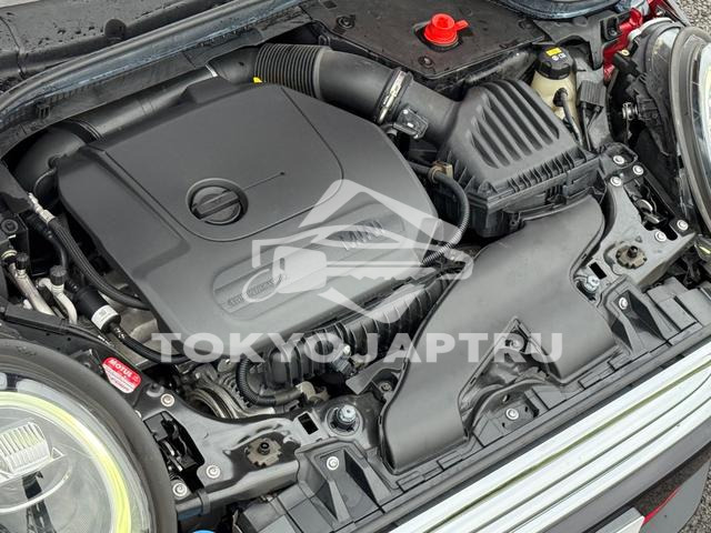 Image 6