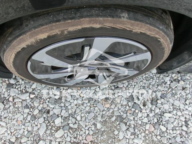 Image 13