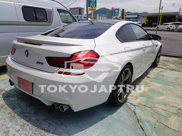 Image 15