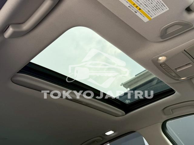 Image 9