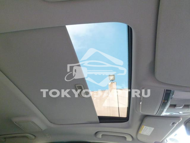 Image 10
