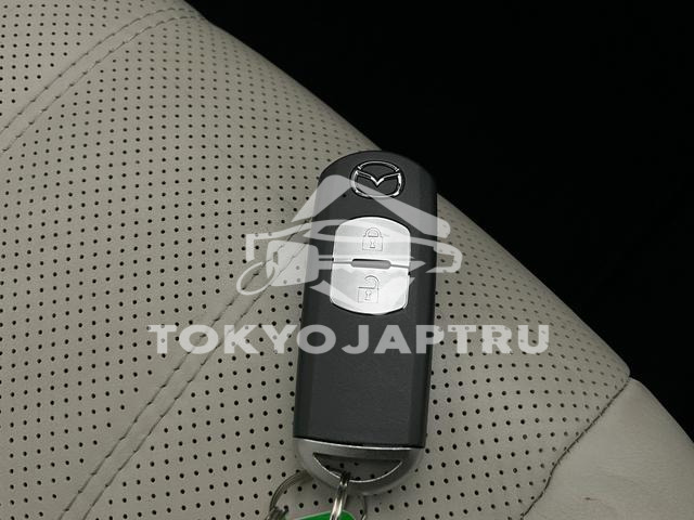 Image 11