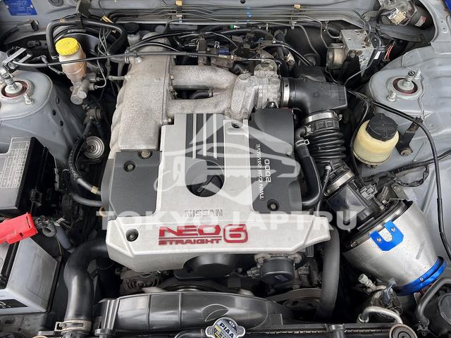Image 7