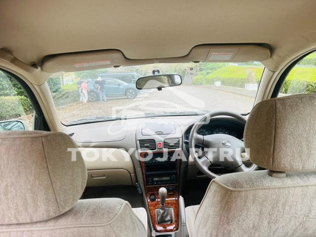 Image 12