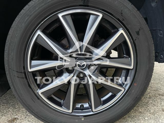 Image 14