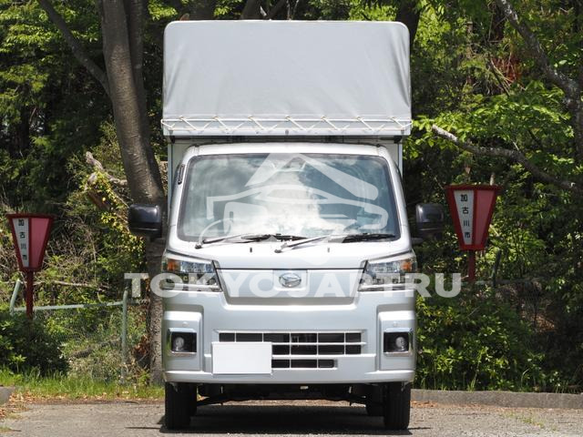 Image 7
