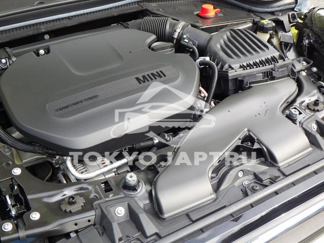 Image 7