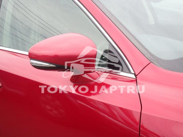 Image 8