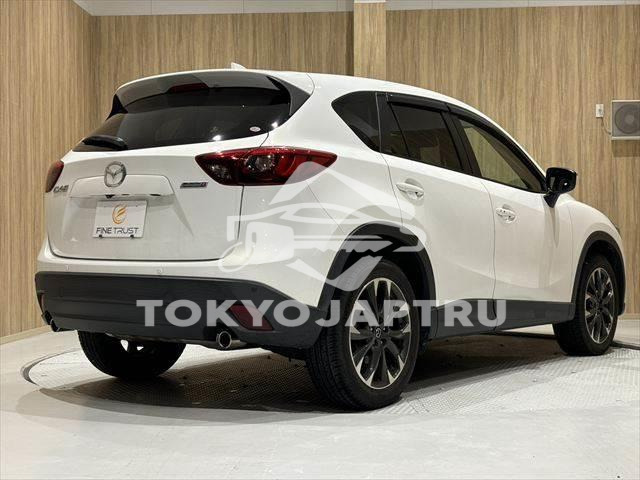 Image 18