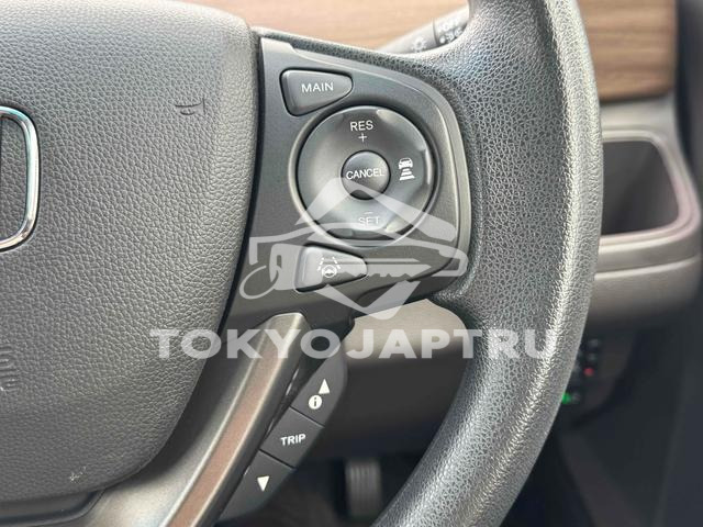 Image 11
