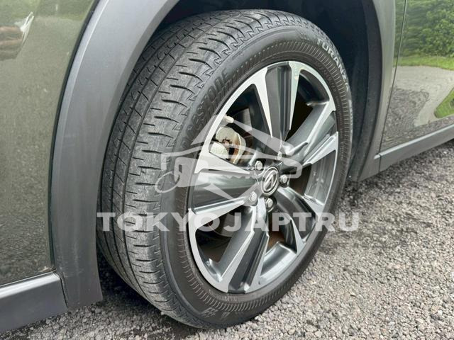 Image 9