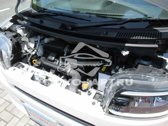 Image 11