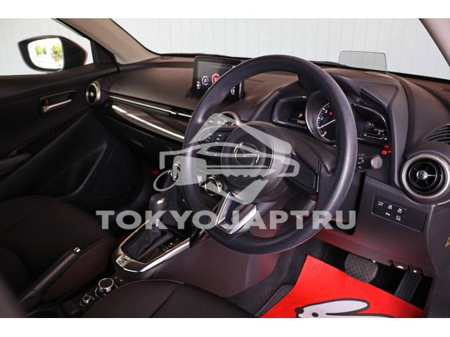 Image 19