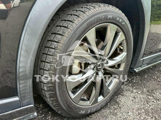 Image 8