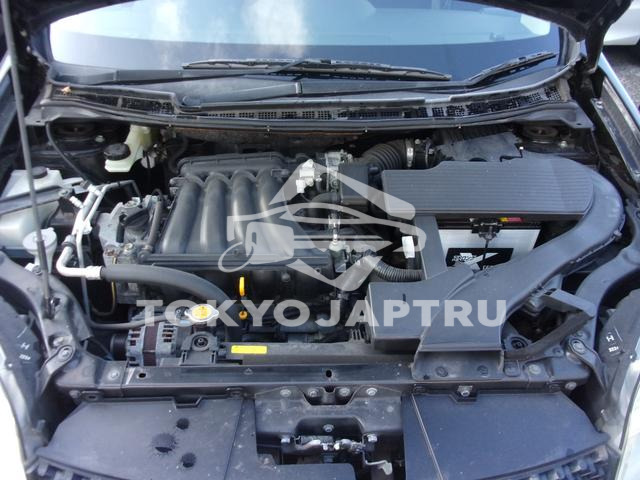 Image 5